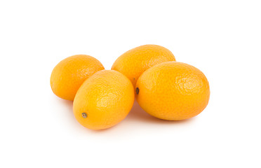 Image showing Ripe kumquat