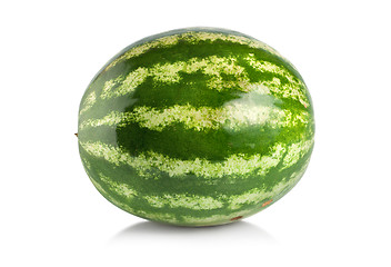Image showing Ripe large watermelon isolated