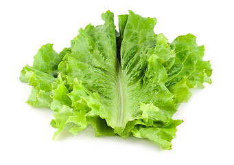 Image showing Fresh lettuce