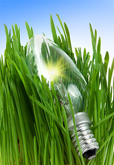 Image showing Lamp in a grass