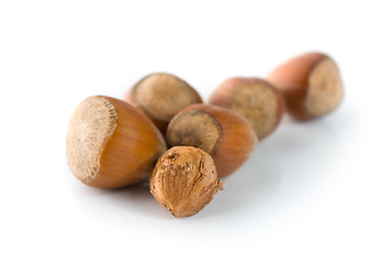 Image showing Hazelnuts on a white background