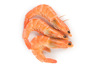 Image showing Prepared shrimp isolated