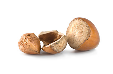 Image showing Hazelnut isolated