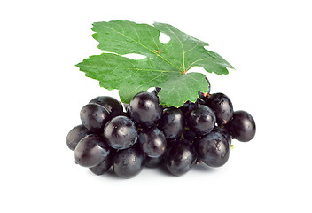 Image showing Fresh blue grape