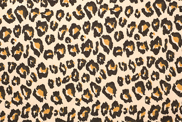 Image showing Leopard print textured background