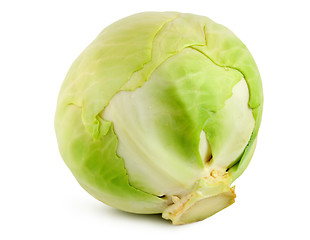 Image showing Green cabbage