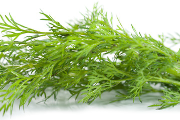 Image showing Green dill