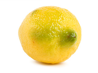 Image showing Lemon isolated