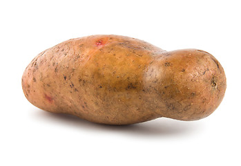 Image showing Potato