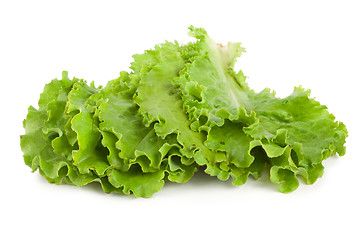 Image showing Leaves lettuce