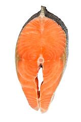 Image showing Salmon