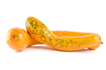 Image showing Ripe squash