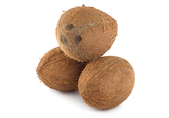 Image showing Three coconut isolated