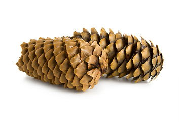 Image showing Two pine cones