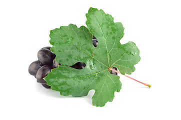 Image showing Ripe blue grape