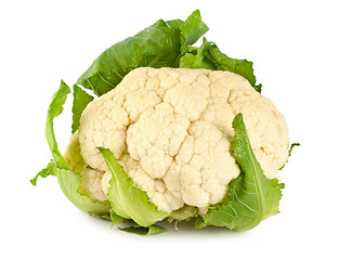 Image showing Cauliflower