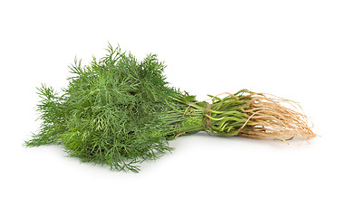 Image showing Fresh green dill