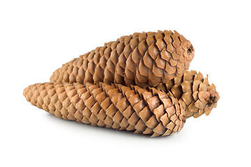 Image showing Dry pine cone isolated