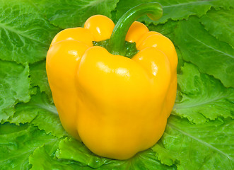 Image showing Pepper