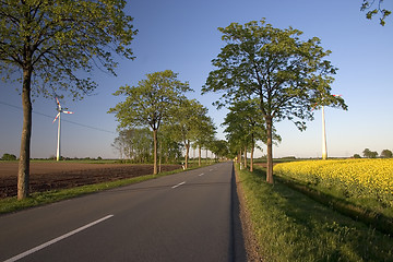 Image showing Road through rural landscape