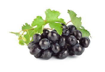 Image showing Blue grape