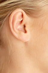 Image showing ear of blond