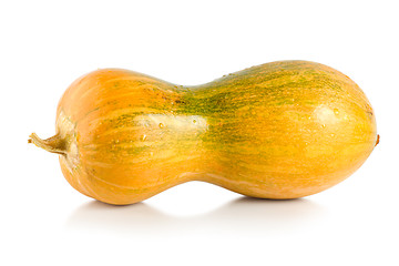 Image showing Yellow squash