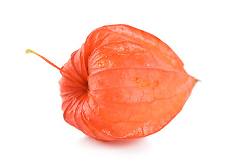 Image showing Cape gooseberry