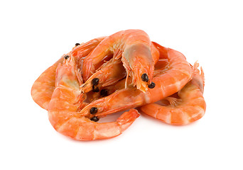 Image showing Shrimp isolated