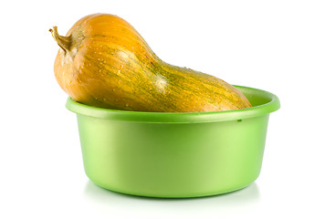 Image showing Ripe squash in the container