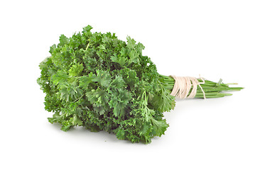 Image showing Fresh parsley