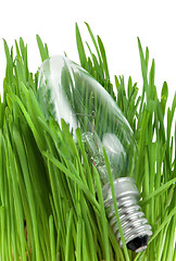 Image showing Lamp in grass isolated