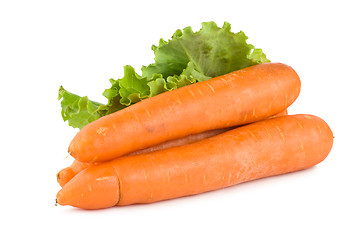 Image showing Carrots and lettuce