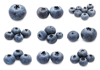 Image showing Blueberry set