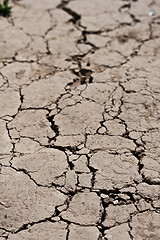 Image showing Dry land