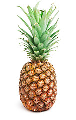 Image showing Pineapple