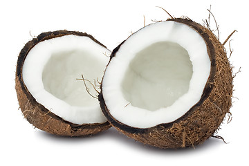 Image showing Coconut