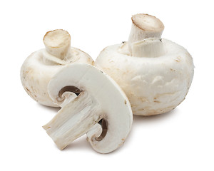 Image showing Champignon mushrooms