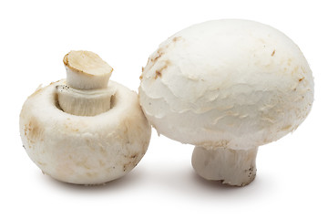 Image showing Champignon mushrooms