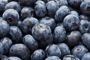 Image showing Blueberries