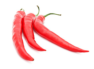 Image showing Hot chili pepper