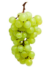 Image showing Grapes