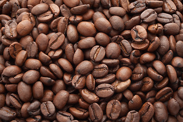 Image showing Coffee beans