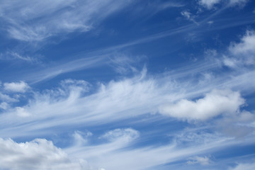 Image showing Curly white clouds in the blue sky