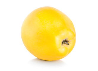 Image showing Quince