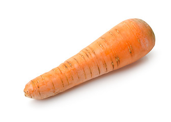 Image showing Raw carrot