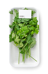 Image showing Packed parsley