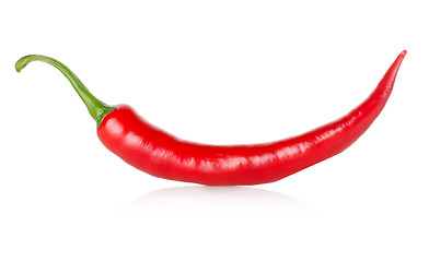 Image showing Hot chili pepper