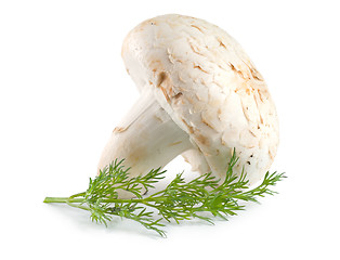 Image showing Mushroom and dill