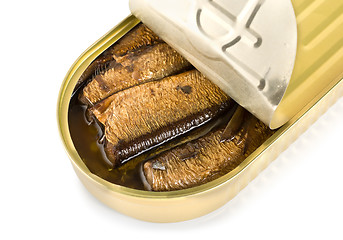 Image showing Canned sardines isolated